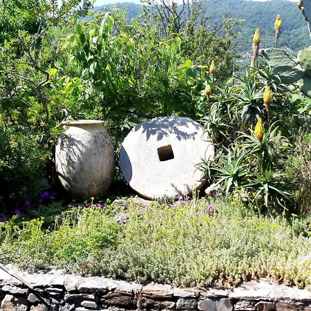 Сasa de vacaciones L'antico Frantoio