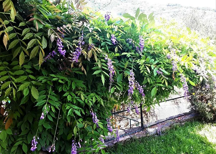 L'antico Frantoio Semesterbostad Rapallo